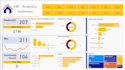 do any power bi work