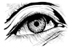 draw black and white detailed line art vector illustration