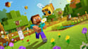 play minecraft bedrock with you