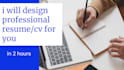 offer professional resume deliver in 2 hour