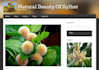 do wordpress website SEO and provide an effective onpage strategy