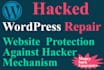 give you strong wordpress security, remove malware, repair