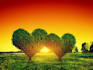 remove heart wall and trapped emotions