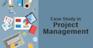 solve business case studies and course projects in management sciences