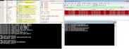do malware analysis with report writing and teaching