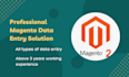 professionally upload products in your magento store