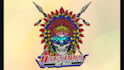 do embroidery digitizing file into dst pes vp3 exp in 1 hour