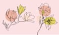 draw flower illustration for logo business elegant flower