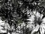 design digital pattern textile print