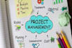 manage projects, team, social media and operations