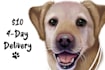 draw a cartoony custom pet portrait