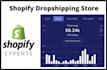 set up shopify dropshipping and ecommerce store