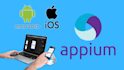 do automation testing of your web application and website