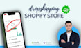 build a professional shopify dropshipping store