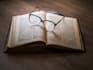 proofread and edit your italian texts