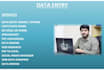 do data entry web research and data entry works