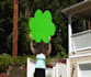 remove green and blue screen ,cleanups , object removal