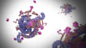 create 3d models and animations