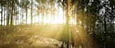 create you a nature music video