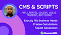 develop custom cms using laravel, PHP, vue, javascript