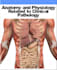 be your anatomy, physiology and pathology tutor