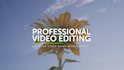 do pro video editing