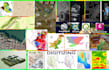 create contours lines, topographic lines, topo map, geo map, gis map