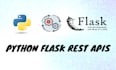 develop website backend and rest apis in python flask