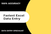 fastest excel data entry with accuracy
