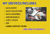 data entry , web searching , removing plagiarism, ppt