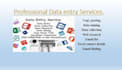 do data entry and analysis