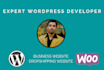 create dropshipping wordpress website or business website