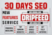 manually 30 days SEO package, drip feed