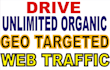 boost usa website ranking with organic geo targeted web traffic