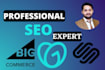 do bigcommerce godaddy and squarespace SEO