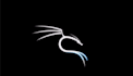 be your kali linux penetration tester and trainer too