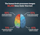 design unique professional infographics presentations
