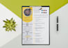 design your creative curriculum, CV or vitae in 24 hrs