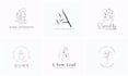 design a modern feminine logo with elegant minimal style