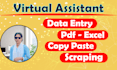 assist you with virtual assistant data entry copy paste job