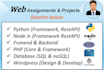 do php node next js web assignments and web issues