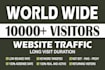 drive 10,000 plus safe human web traffic