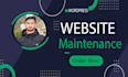 do website maintenance, manage,  fix erorr and  wordpress support