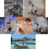 edit your photography with lightroom preset