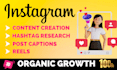 manage your instagram and create content for organic growth