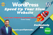 increase your slow wordpress website speed significantly