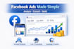 create facebook ad campaign,management and consultant