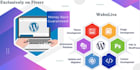 be your trusted on demand wordpress developer