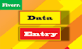 do data entry and designing any database