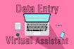 do data entry and VA tasks professionally